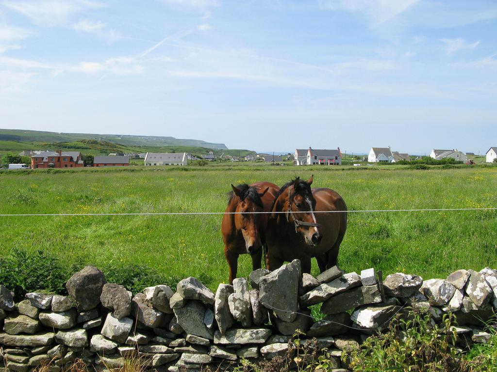 Nellie Dee'S Bed & Breakfast Doolin Bagian luar foto